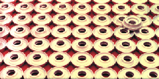 missaofoto2.gif (51273 bytes)